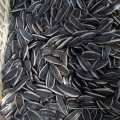usine vendant des graines de tournesol décortiquées saines de type 5009 &amp; 601 &amp; 363